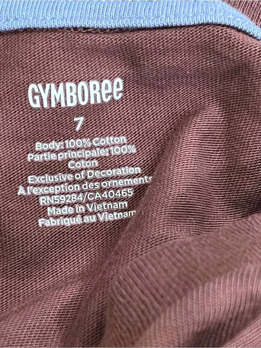 Gymboree Brown and Cream Polar Bear Ski Graphic Long-Sleeve Tee